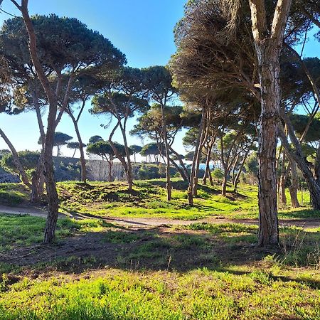 Sea Wave Sounds, Meco, By The Beach Sesimbra Eksteriør billede